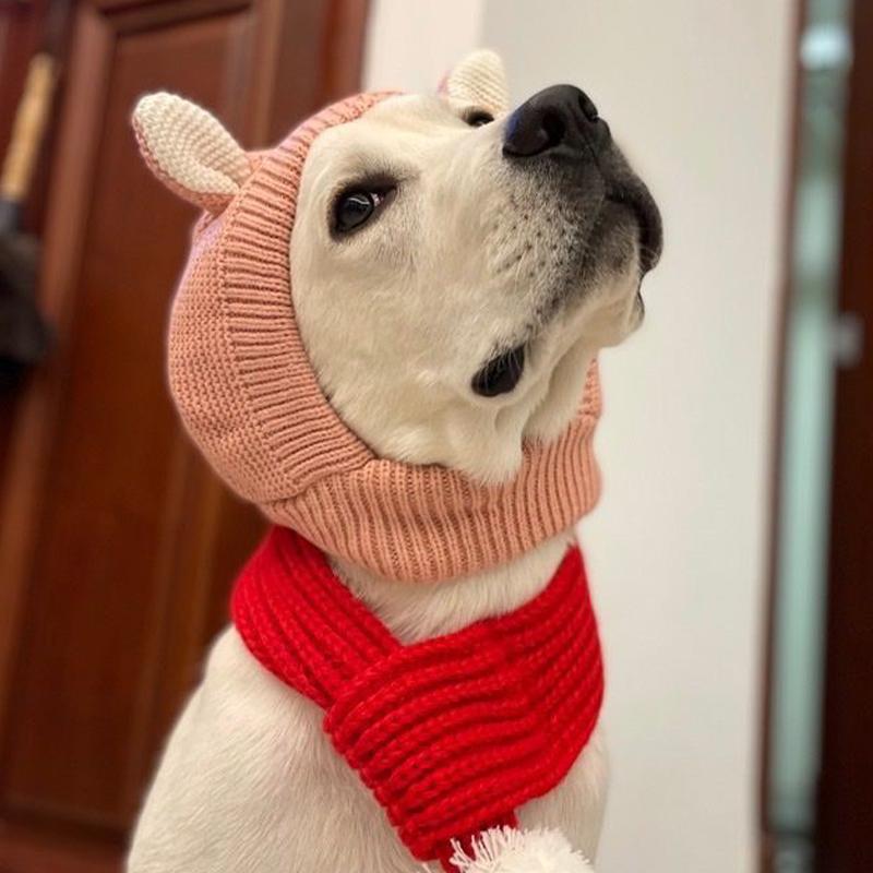 Pet Hat Winter Labrador Golden Retriever Funny Headgear Warm Cute Puppy Hat