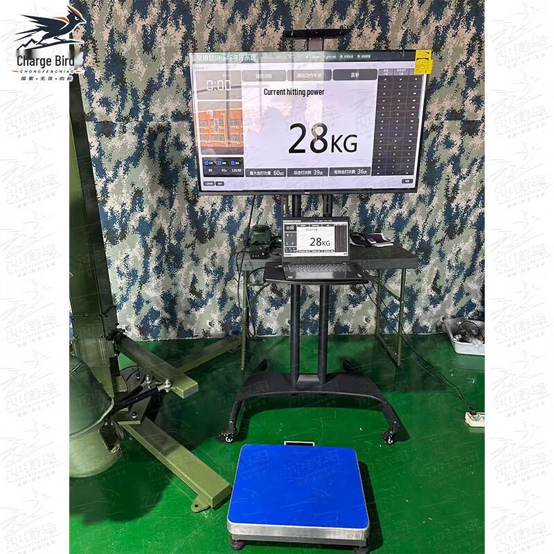 Chongfengniao Smart Combat Training and Strength Assessment System