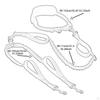 Double Dog Leash Retractable Hands Free No Pull Reflective Bungees for Canicross