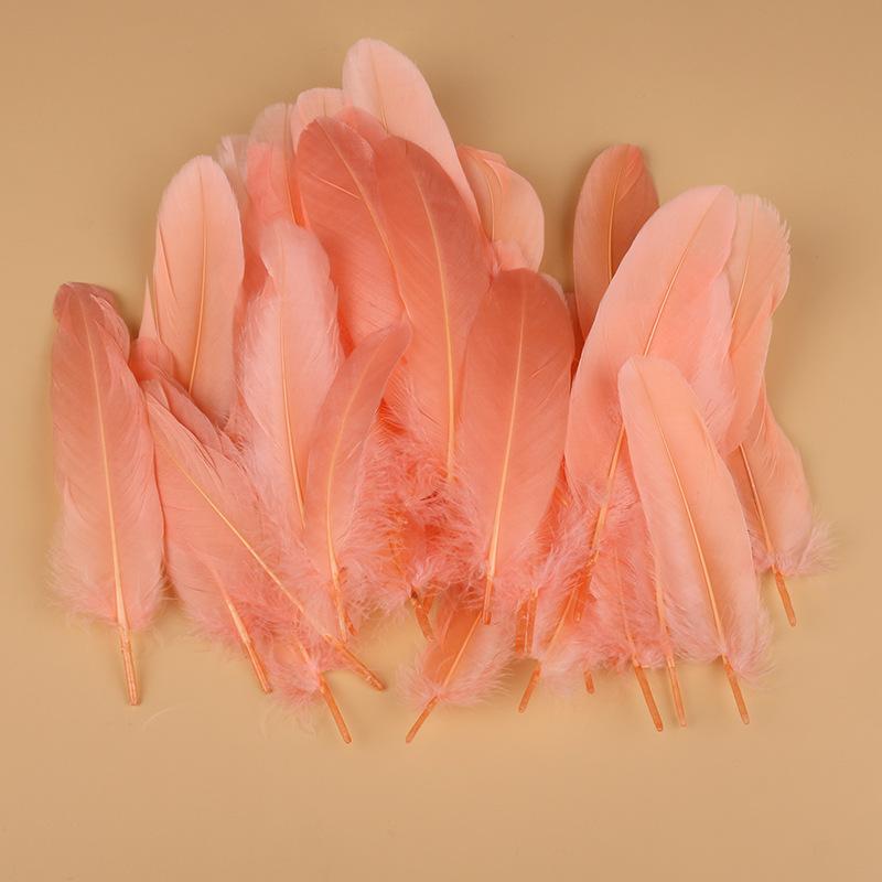 50Pcs Shellfish Feather Goose Feather Diy Handmade Jewelry Accessories Handicrafts Cat Toys Decorative Feathers