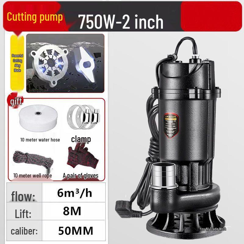 220V Household Sewage & Sludge Pump for Septic Tank and Drainage