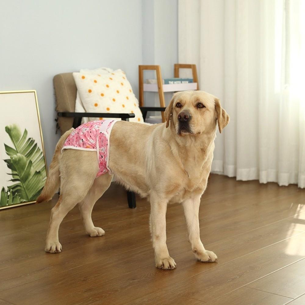 Cartoon Print Dog Physiological Pants Elastic Waist Dog Sanitary Panties  Physiological Safety