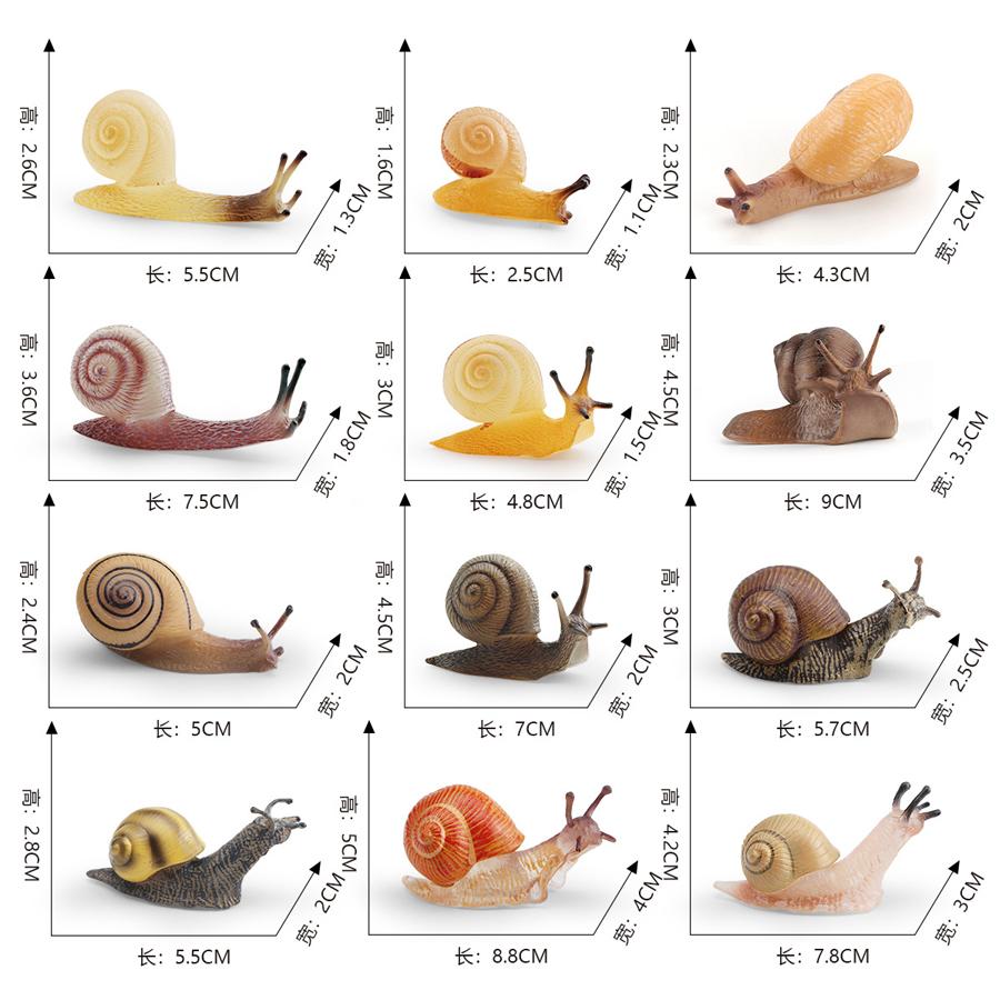Realistic Life Cycle Of A Snail Model Figure Snail Figurine Party Favors Supplies Cake Toppers Desktop Decoration Collection Toy