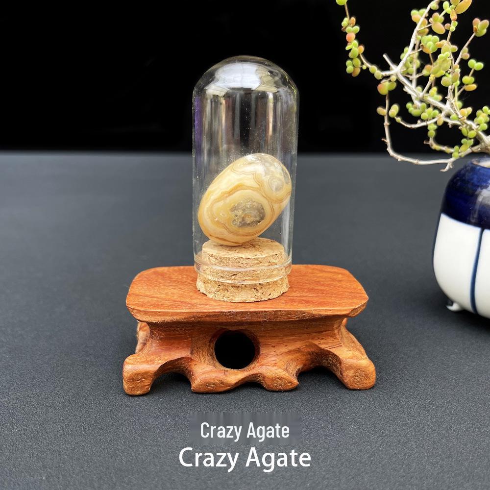 Natural Raw Stone Gemstone Mineral Crystal Ornament for Student Science Exploration Collection