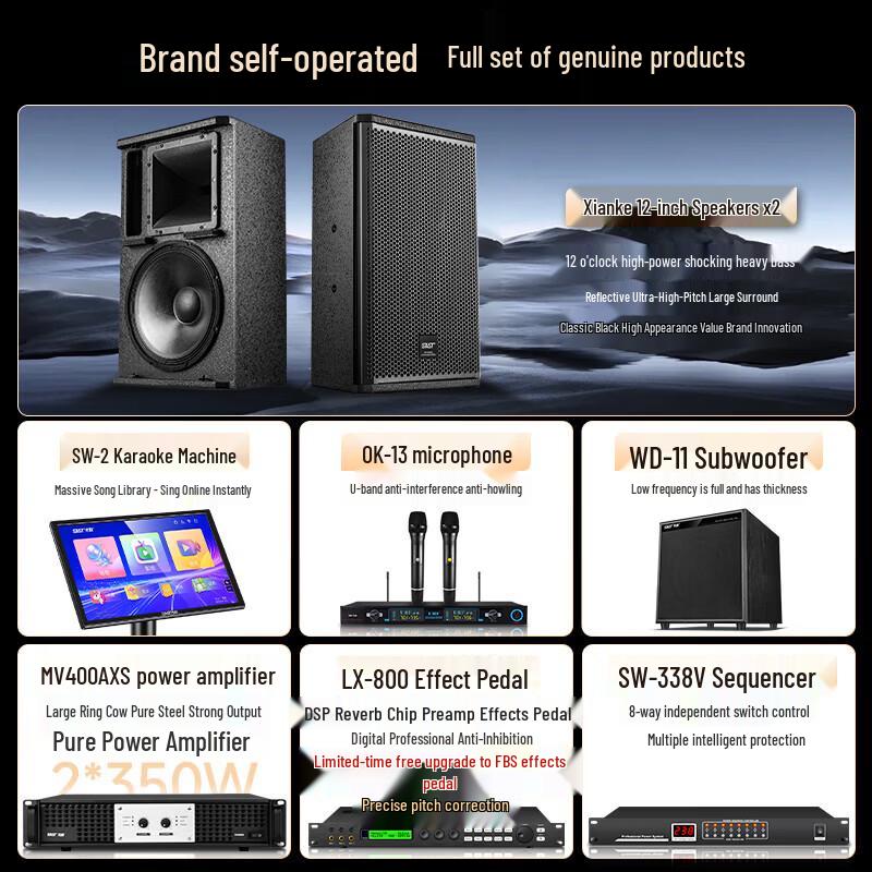 SAST Home KTV Karaoke Speaker System CN plug (adapter included)