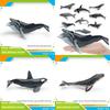 Ensemble de modèles en PVC d'animaux marins pour enfants avec des figures de cétacés réalistes pour le jeu éducatif