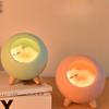 1Pc Cute Pet House Night Light Usb Charging Bedside Desktop Ambient Light Children's Bedroom Led Bluetooth Speaker Desk Lamp