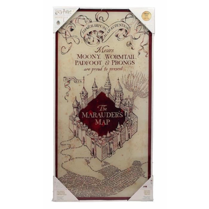 Affiche En Verre - Harry Potter - Carte Des Maraudeurs - Décoration Murale - Style Contemporain