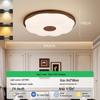French Mid-Century Ceiling Light with American Retro and Song Dynasty Style - Eye-Friendly Lighting for Bedroom, Dining Room, or Study.