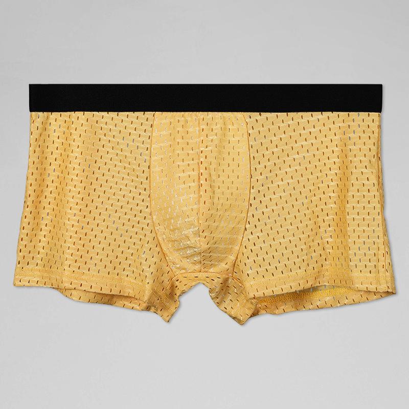 Men's Ice Silk Mesh Breathable Boxer Briefs - Transparent, Sexy, Summer Thin