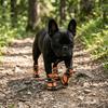 Adjustable Strap Pet Rain Boots Soft Sole Dog Anti-slip Paw Shoes Dog Shoes  Rainy Outdoor