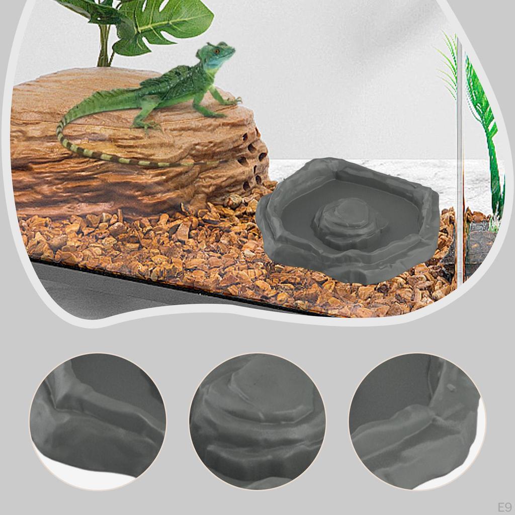 Reptilbadskål Pool Matning Matare Dekor Terrarium Skål för Sköldpaddor Husdjur