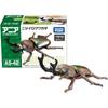 Takara Tomy Ania AS-42 Rainbow Stag Beetle Toy for Ages 3 and Up Animal Dinosaur Insect