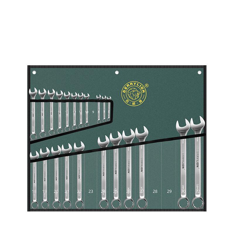 Berry Lion Industrial Combination Wrench Set, 22-Piece (6-32mm)