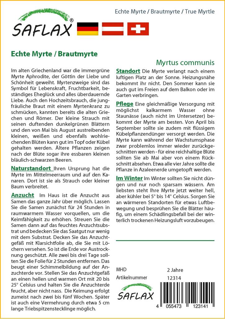 SAFLAX Mirt Prawdziwy - 30 nasion - Myrtus communis