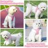 Breathable Dog Harness with Leash Adjustable Anti Escape Puppy Cat Harness Set for Small Medium Pets Yorkshire Pet Accessories