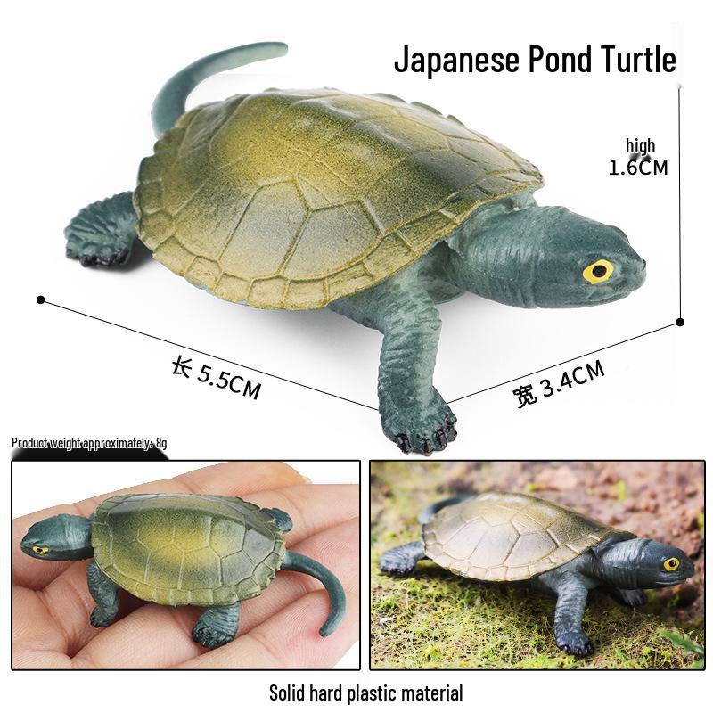Cross-Border Children's Cognitive Amphibian & Reptile Tortoise Model Fish Tank Ornament Toy
