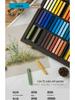 Lion Soft Pastels: Chalk Color Sticks for Drawing, Makeup, and Sketching - Blackboard Crayons.