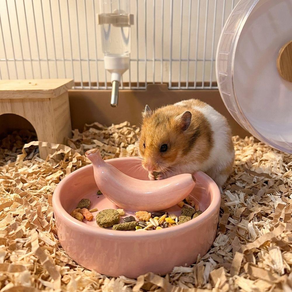 Ceramic Pet Feeding Bowl Fruit Shape Tortoise Feeding Dish Creative Hamster Water Bowl  Small Pet