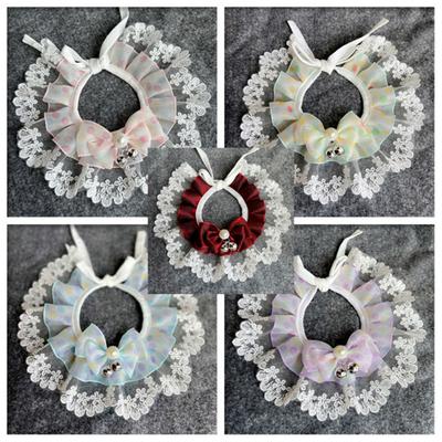 Oblečky a obuv – Doplňky pro psy