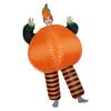 Premium Quality Inflatable Costumes For Kids And Adults With Timeless Design Appeal