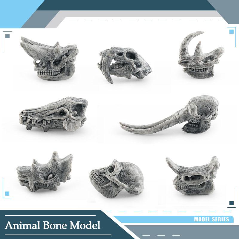 Toys Model Educational Simulated Animal Card Set Insect Plant Growth Cycle Cognitive Montessori Parish Home Open Learning Kids