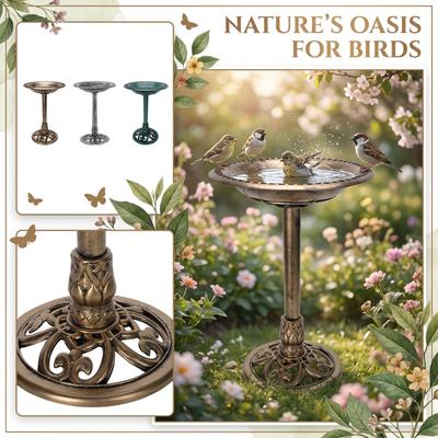 Elegant Outdoor Bird Bath & Feeder – -Function Garden Decor For Birds
