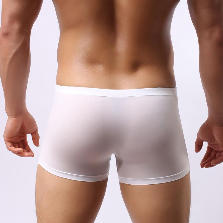 Men's Transparent Ice Silk Boxer Briefs with Elephant Trunk Design, Sexy Four-Legged Underwear.