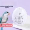 Playback Parrot Teach Talking Interactive Speech Training Machine Bird Repeater  Games Playing