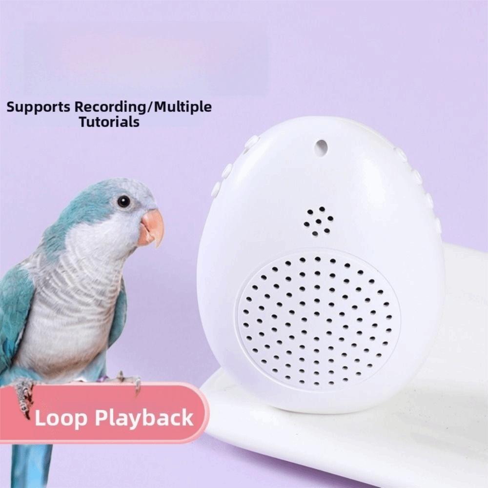 Playback Parrot Teach Talking Interactive Speech Training Machine Bird Repeater Games Playing