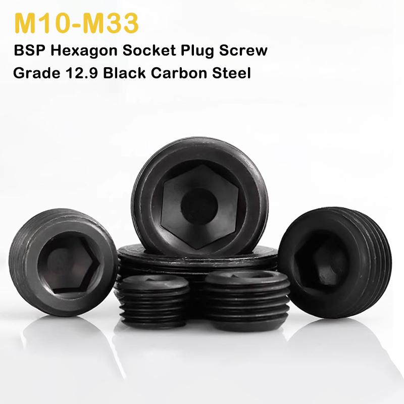 

Grade 12.9 Black Carbon Steel M10 M12 M14 M16 M18-M33 BSP Metric Male Therad Carbon Steel Hex Socket End Cap Plug Pipe Fitting M18x1.5mm-1PCS