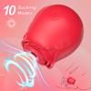 Giocattoli con vibratore a rosa, stimolatore del vuoto con ventosa per clitoride femminile, giocattolo per flirtare, giocattoli sessuali per succhiare capezzoli e clitoride, 10 modalità di suzione, ricaricabile magnetica