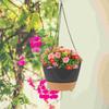 Hanging Orchid Flower Pot Balcony Plant Holder Plastic Container Outdoor Succulent Suspended Flowerpot Lovely