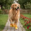 4pcs/set Adjustable Anti-Slip Dog Boots Wear-Resistant Pet Sneakers  Outdoor Adventure
