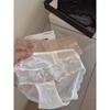 Slip da donna estivi, nuovo stile, lusso leggero, sexy, pura rete vuota, vita bassa, a triangolo