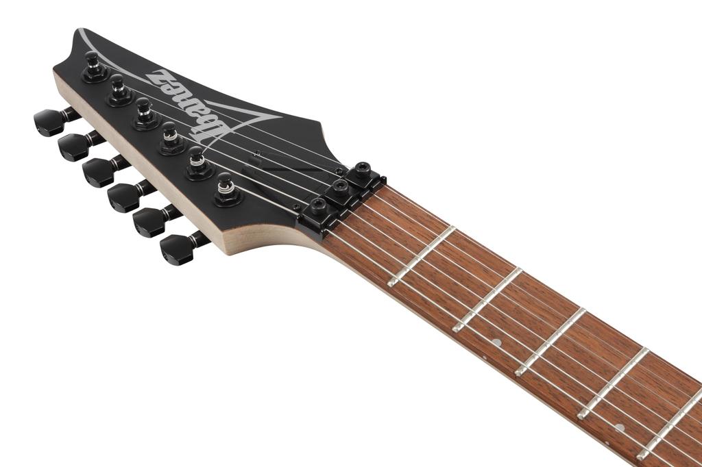 Ibanez Ibanez electric guitar / RG450B-WK (Weathered Black)