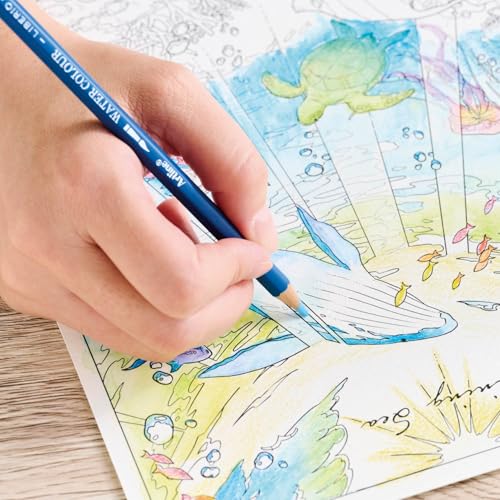 Shachihata Artline LIBERIO Watercolor Pencils, 100-Color Set with Watercolor Brush and Sharpener, KCPL-W100C/H