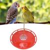 CourtyardShaped Bird Feeder Transparent Hanging Bird Water Feeder for Garden Terrace(Red )