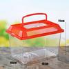 Portable Handheld Plastic Fish Tank Transparent Cutout Design For Turtle Petfish