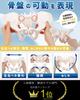 KIYOMARU Pelvis Model That Can Be Moved Human Body Bone Sacroiliac Elastic Female Easily, Model, Model, Joint, Cord, Mobility,