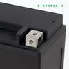 LEOCH Compatible 12V 10Ah Sealed Battery for and for Skywave 400 YT12A-BS EB12A-4-1 Motorcycles, Maintenance-Free, Pre-filled Charged, 250/Skywave
