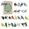 Educational Bird Collection for Science Enthusiasts Sea Glass Advent Calendars 2026 24 Days Christmas Countdown Calendar with Festive Box Surprises