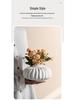 Decorative Big Belly Ceramic Vase with Light Luxury Style