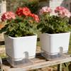 Weißer Selbstbewässernder Pflanztopf Quadratisch Doppellagiger Blumentopf für Haus Innen- und Außenbalkon Gartenpflanzen Dekoration Blumentopf