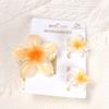 Gradient Plumeria Claw Clip Set: 18-Piece Floral Hair Accessories