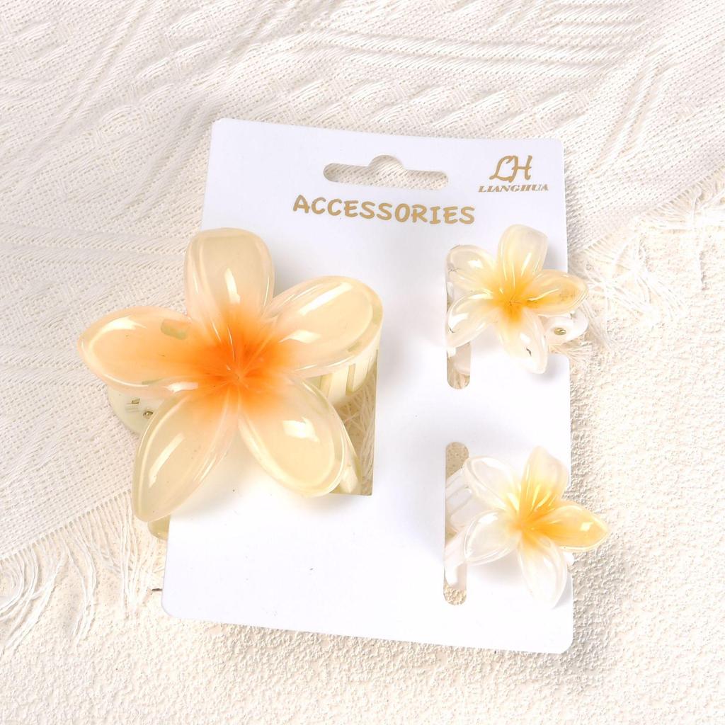 Gradient Plumeria Claw Clip Set: 18-Piece Floral Hair Accessories