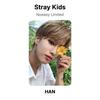 Stray Kids Noeasy Limited Official Photocard