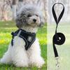 Vest-Style Harness and Leash Set for Small Dogs: Bichon, Teddy, Pomeranian
