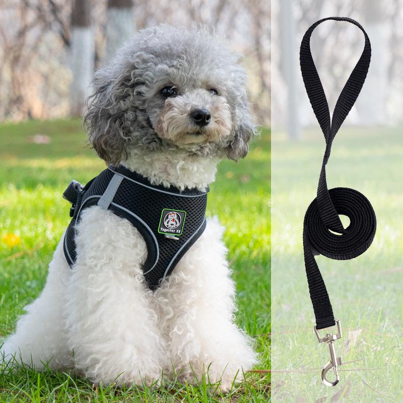 Vest-Style Harness and Leash Set for Small Dogs: Bichon, Teddy, Pomeranian