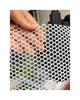 Versatile Plastic Mesh Grid for Beekeeping, Silkworms, Fish, Poultry, and Balcony Protection